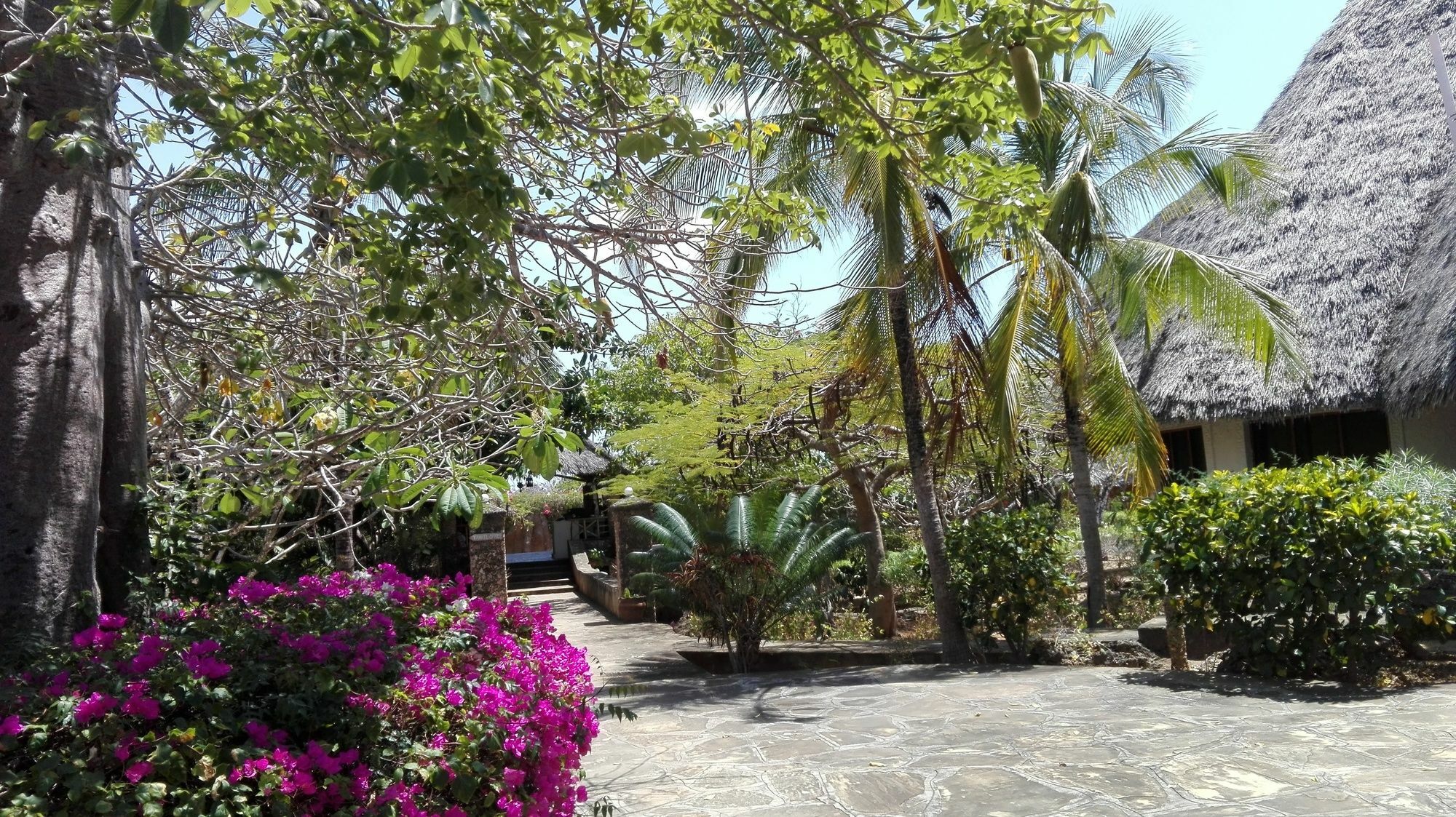 Flamingo Villas Resort 말린디 외부 사진