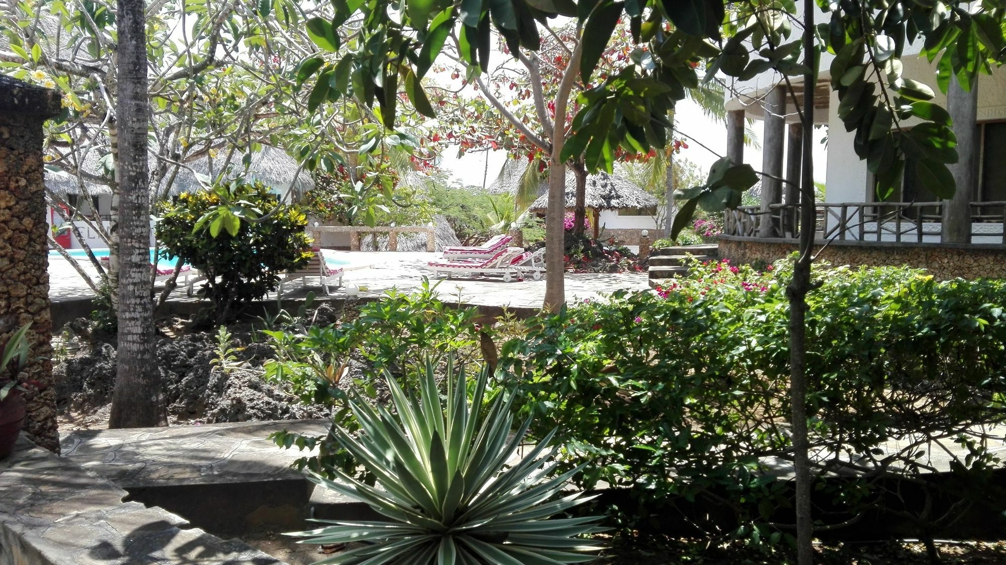 Flamingo Villas Resort 말린디 외부 사진